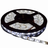 12v 10mm 5050 60 LED Nova 65 Strip Light IP65 5m Roll 6000k Bing Light LED strip lights,ambient lighting,LED lights