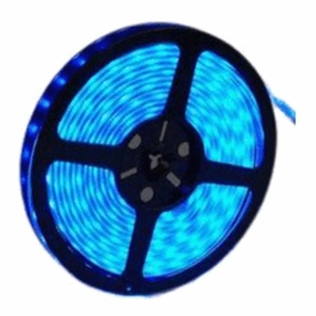12v 10mm 5050 60 LED Nova 65 Strip Light IP65 5m Roll Blue Bing Light LED strip lights,ambient lighting,LED lights