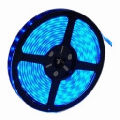 12v 10mm 5050 60 LED Nova 65 Strip Light IP65 5m Roll Blue Bing Light LED strip lights,ambient lighting,LED lights
