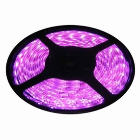 12v 10mm 5050 60 LED Nova 65 Strip Light IP65 5m Roll Pink Bing Light LED strip lights,ambient lighting,LED lights