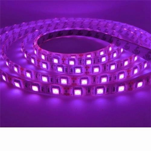 12v 10mm 5050 60 Led Strip Light Ip65 5m Roll Purple Bing Light LED strip lights,ambient lighting,LED lights