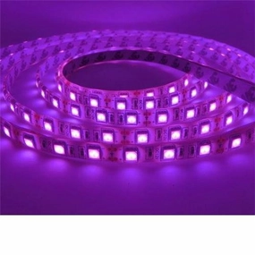 12v 10mm 5050 60 Led Strip Light Ip65 5m Roll Purple Bing Light LED strip lights,ambient lighting,LED lights
