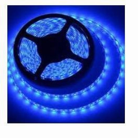 12v 8mm 5050 60 Led Strip Light Budget Range Ip20 5m Roll Blue Dr.Light LED strip lights,ambient lighting,LED lights
