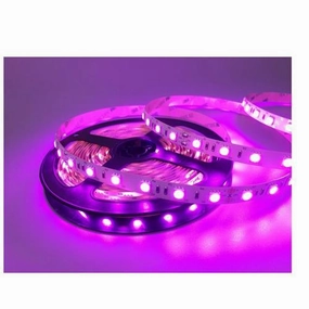 12v 8mm 5050 60 Led Strip Light Budget Range Ip20 5m Roll Purple Dr.Light LED strip lights,ambient lighting,LED lights