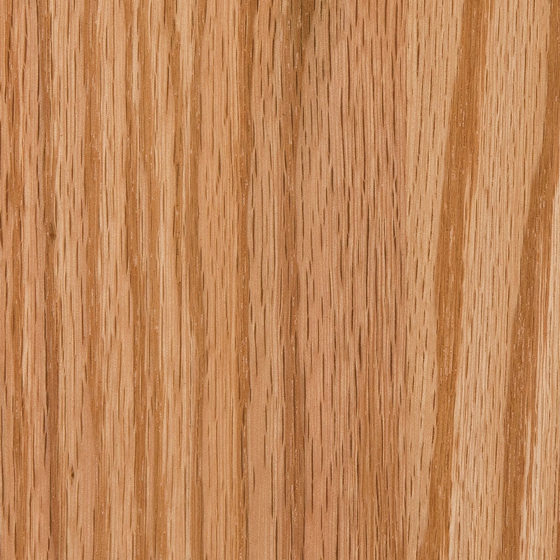 Acadia Hutch