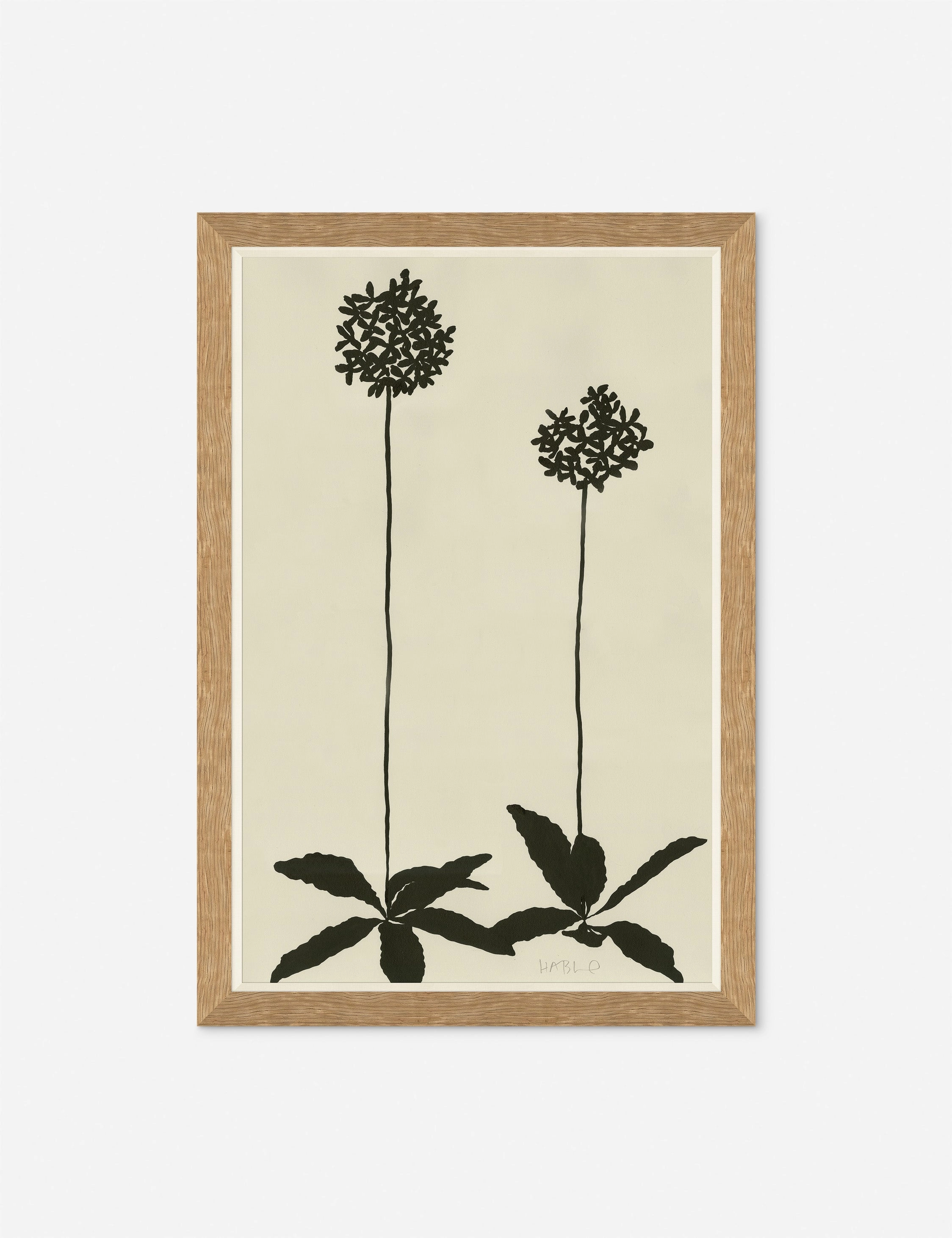 Allium Wall Art by Susan Hable wall art,canvas print,home wall decor