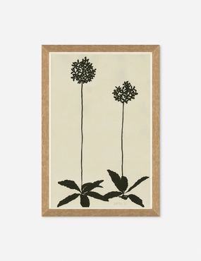 Allium Wall Art by Susan Hable wall art,canvas print,home wall decor