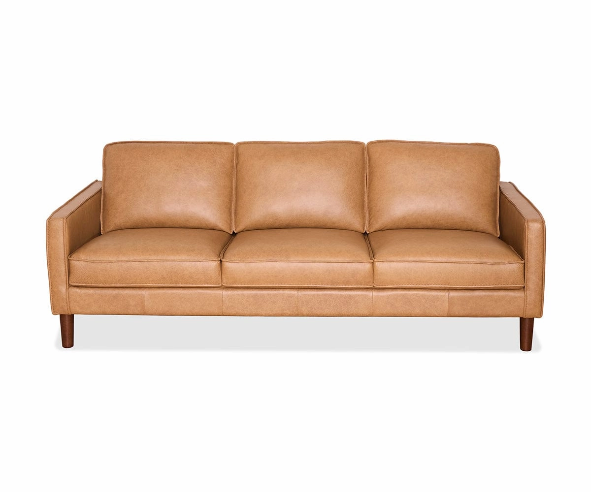 Anika Leather Sofa sofa,couch,living room furniture