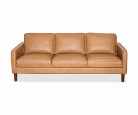 Anika Leather Sofa sofa,couch,living room furniture