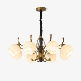 Antonia Chandelier chandelier,ceiling light,decorative lighting