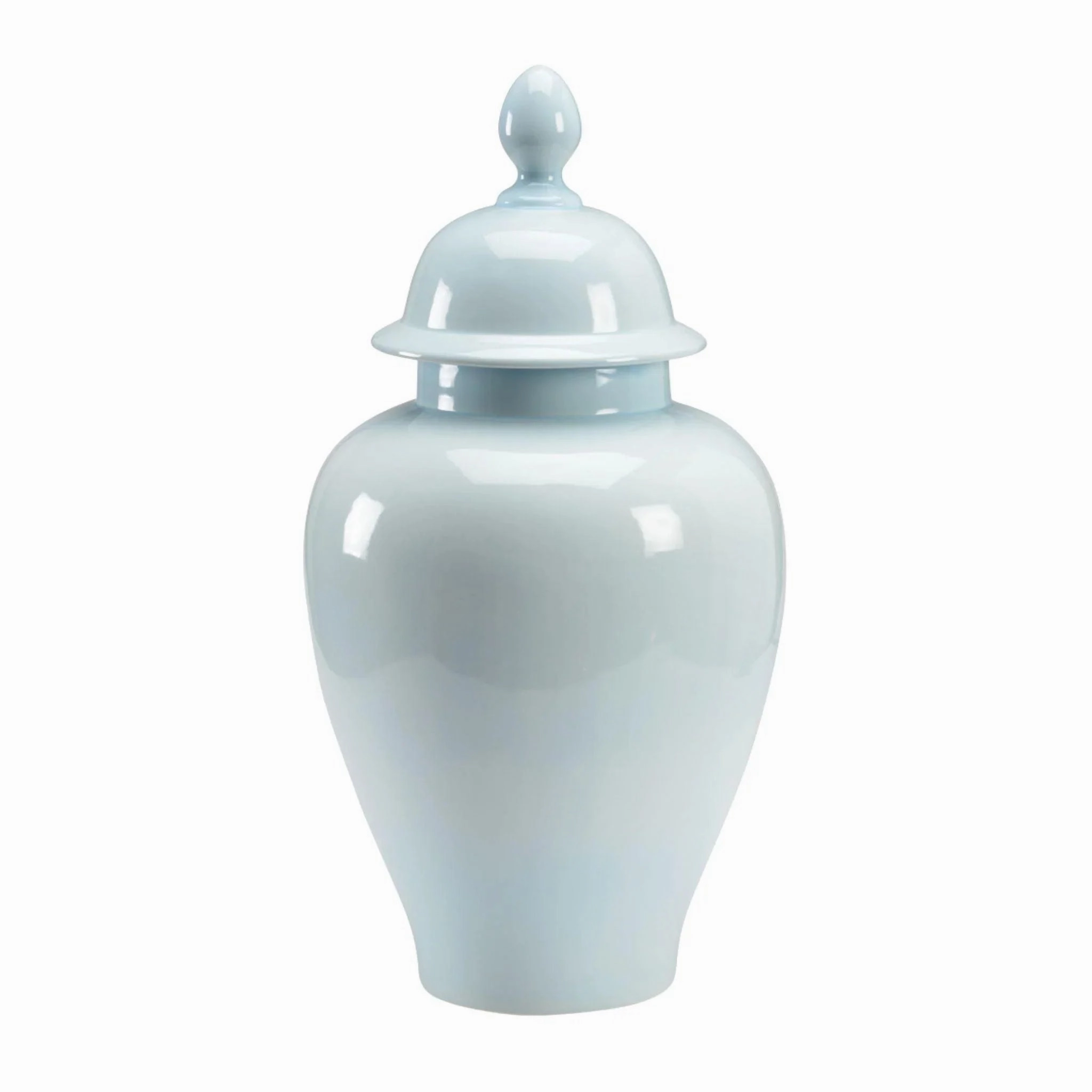 Baby Blue Porcelain Vase With Lid vase,flower vase,home decoration
