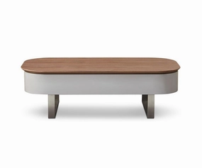 Baptisia Lift Top Storage Coffee Table sofa,couch,living room furniture