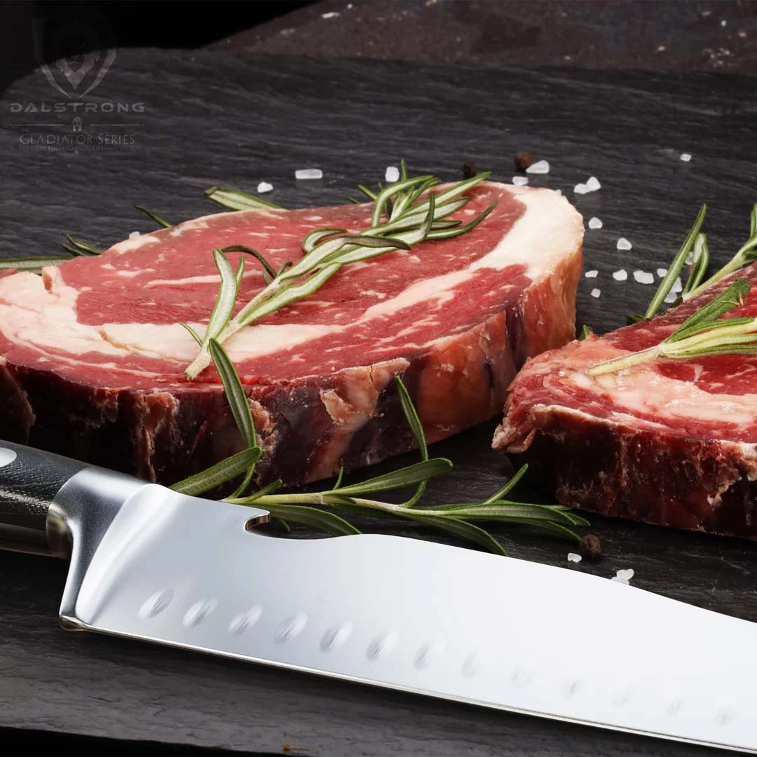 BBQ & Pitmaster Meat Knife 8" with Forked Tip & Bottle Opener | Gladiator Series | NSF Certified | Dalstrong 