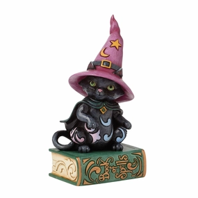 Black Cat Sitting on Book Pint figurines,decorative figurines,home accents