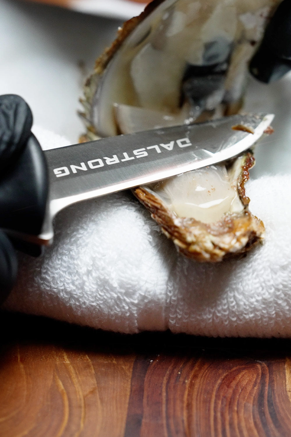 Boston Oyster Shucking Knife 3" | Gladiator Series | NSF Certified | Dalstrong 