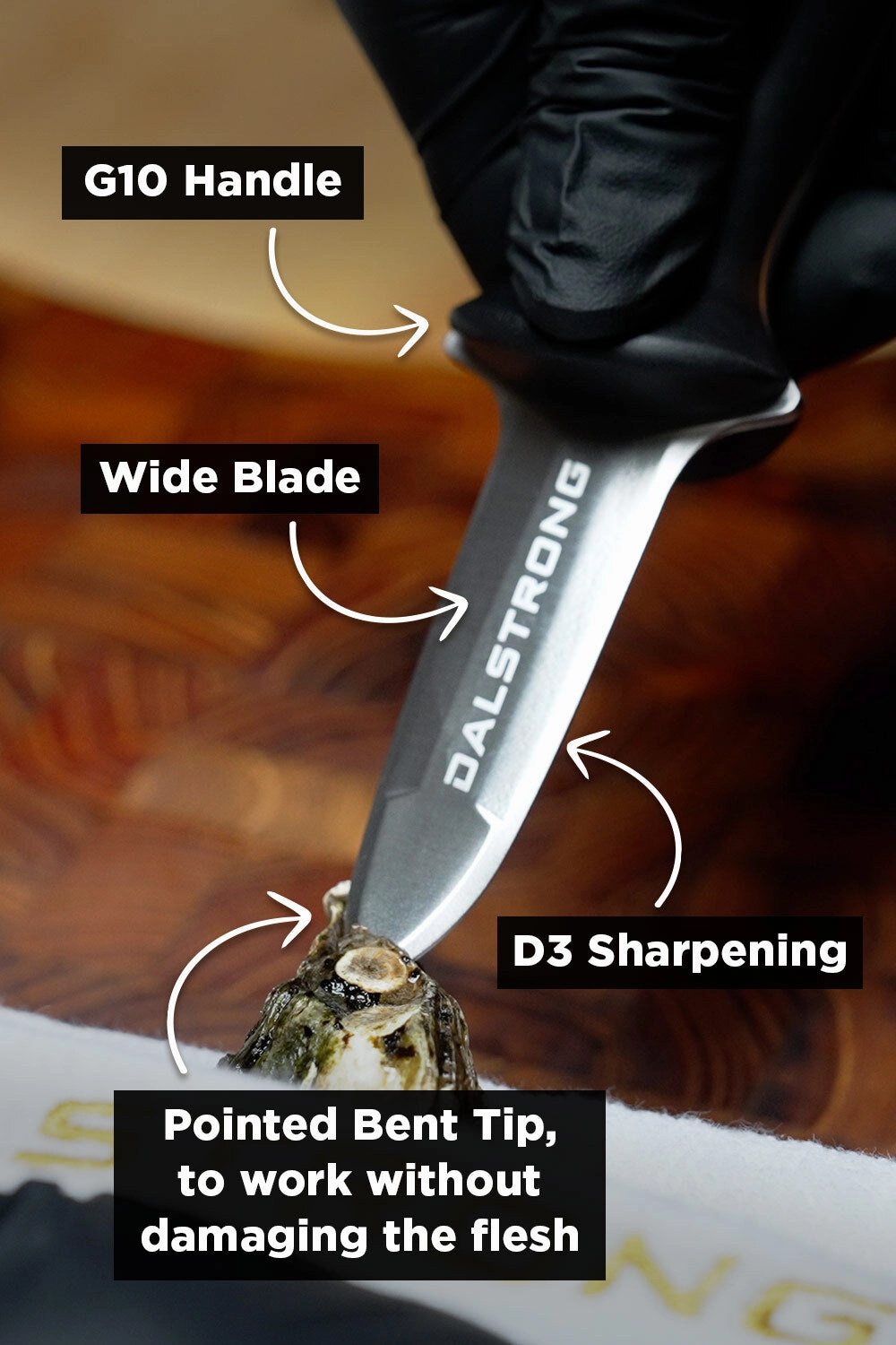 Boston Oyster Shucking Knife 3" | Gladiator Series | NSF Certified | Dalstrong 