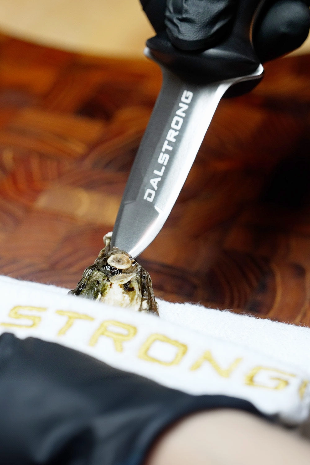 Boston Oyster Shucking Knife 3" | Gladiator Series | NSF Certified | Dalstrong 