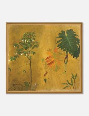 Botanical Study, Jamaica Print by Frederic Edwin Church wall art,canvas print,home wall decor