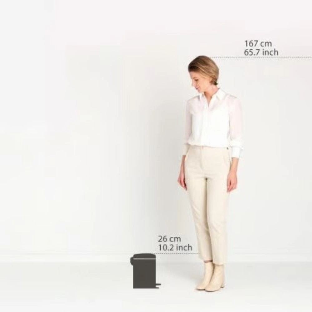 brabantia NewIcon Pedal Bin 3 litre In Platinum