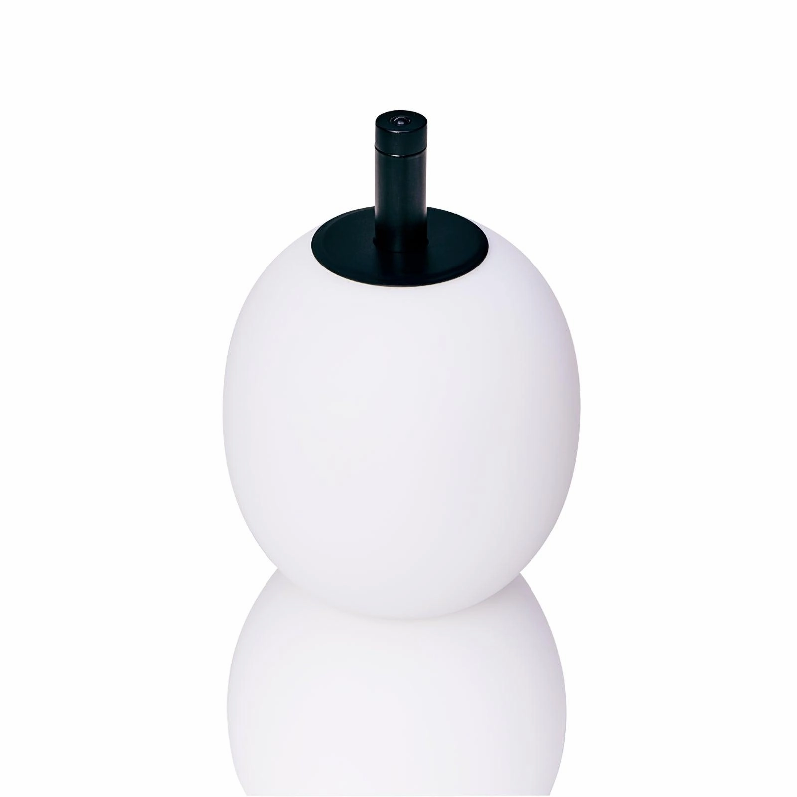 Candied Haws Table Lamp