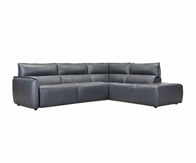 Carson Leather Power Reclining Sectional sofa,couch,living room furniture