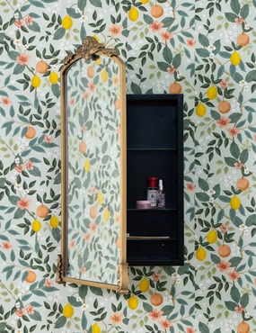 Casserly Medicine Cabinet decorative mirror,wall mirror,home decor
