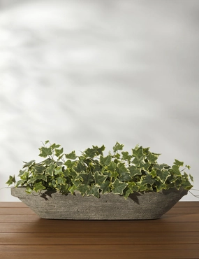 Cast Stone Tabletop Planters by Campania International home decor,home accents,interior accessories
