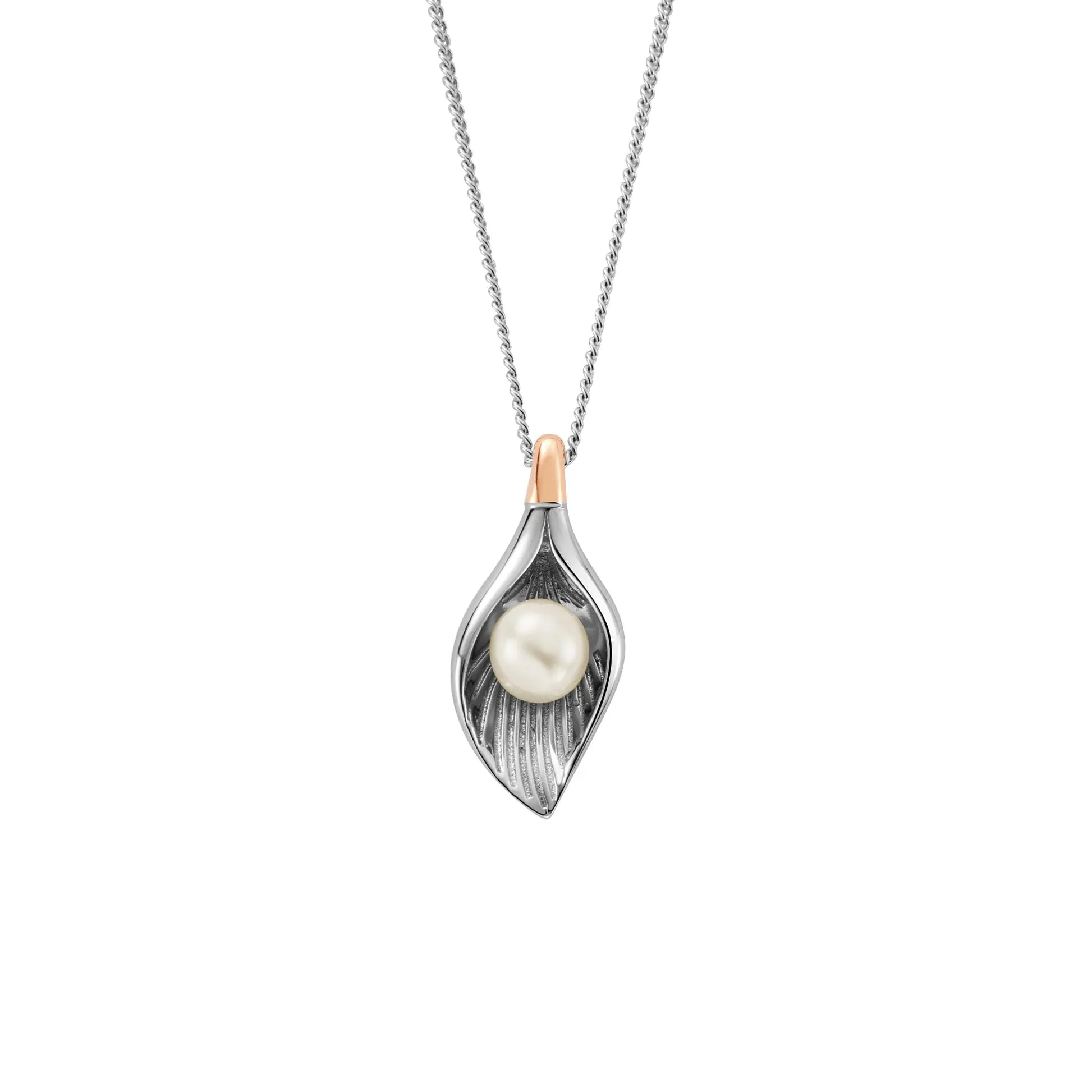 Clogau Jewellery Clogau Beachcomber Shell Silver and Pearl Necklace