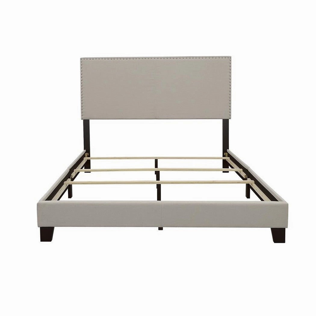 Coaster Boyd Queen Upholstered Bed With Nailhead Trim Ivory