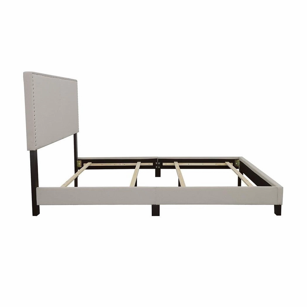 Coaster Boyd Queen Upholstered Bed With Nailhead Trim Ivory
