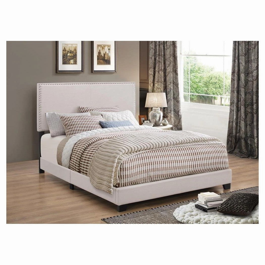 Coaster Boyd Queen Upholstered Bed With Nailhead Trim Ivory