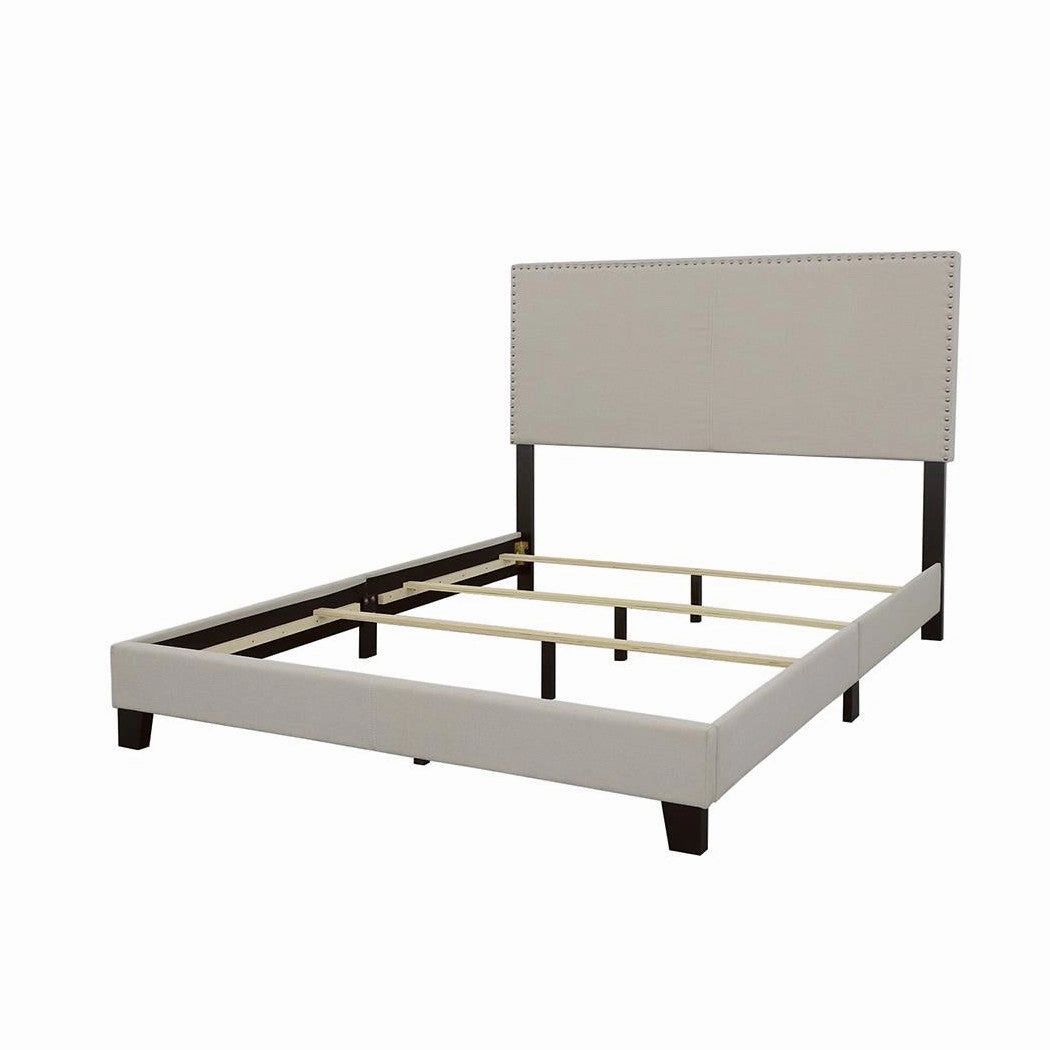 Coaster Boyd Queen Upholstered Bed With Nailhead Trim Ivory
