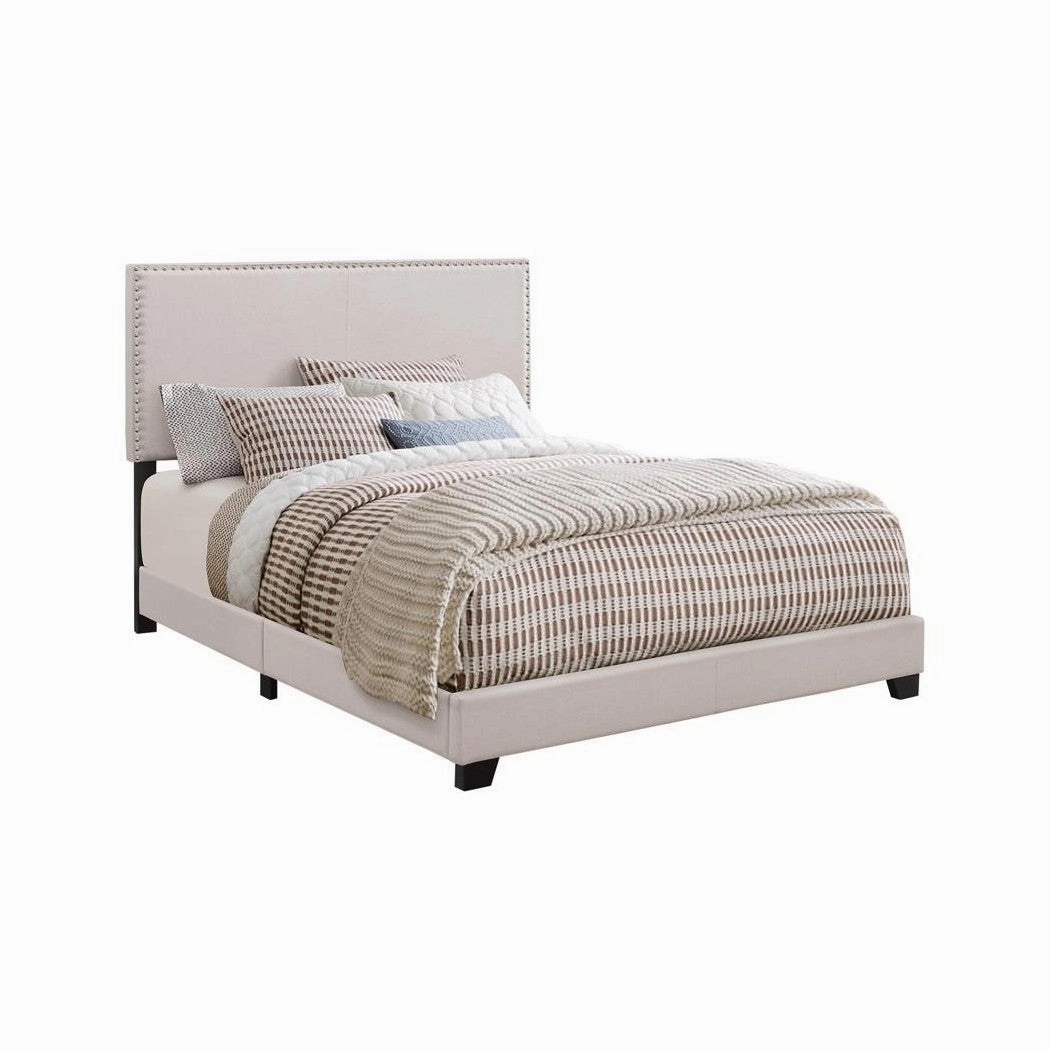 Coaster Boyd Queen Upholstered Bed With Nailhead Trim Ivory