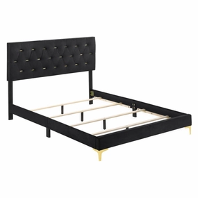 Coaster Kendall Tufted Panel Queen Bed Black And Gold bed frame,bed base,bedroom furniture