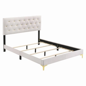 Coaster Kendall Tufted Upholstered Panel California King Bed White bed frame,bed base,bedroom furniture