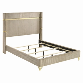 Coaster Lucia Upholstered Queen Wingback Panel Bed Beige bed frame,bed base,bedroom furniture