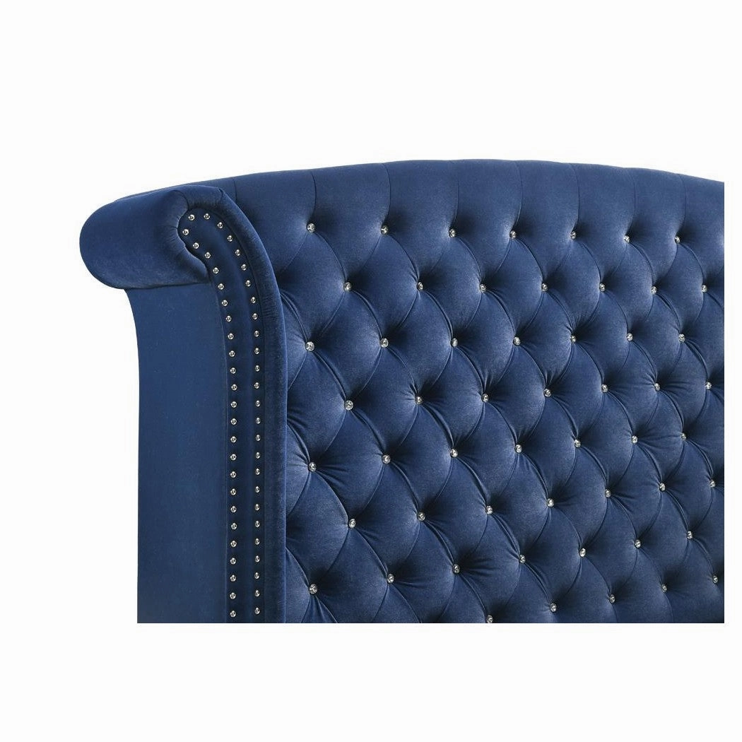Coaster Melody Eastern King Wingback Upholstered Bed Pacific Blue