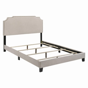Coaster Tamarac Upholstered Nailhead Eastern King Bed Beige bed frame,bed base,bedroom furniture