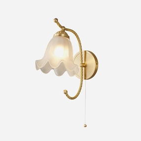 Curved Gooseneck Brass Glass Sconce wall sconce,wall light,home lighting