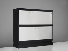 De Coene Minimalist Highboard in Brushed Aluminum and Ash storage cabinet,organizer,furniture storage