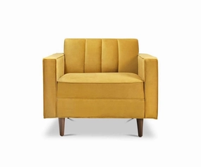 Delphine Chair sofa,couch,living room furniture