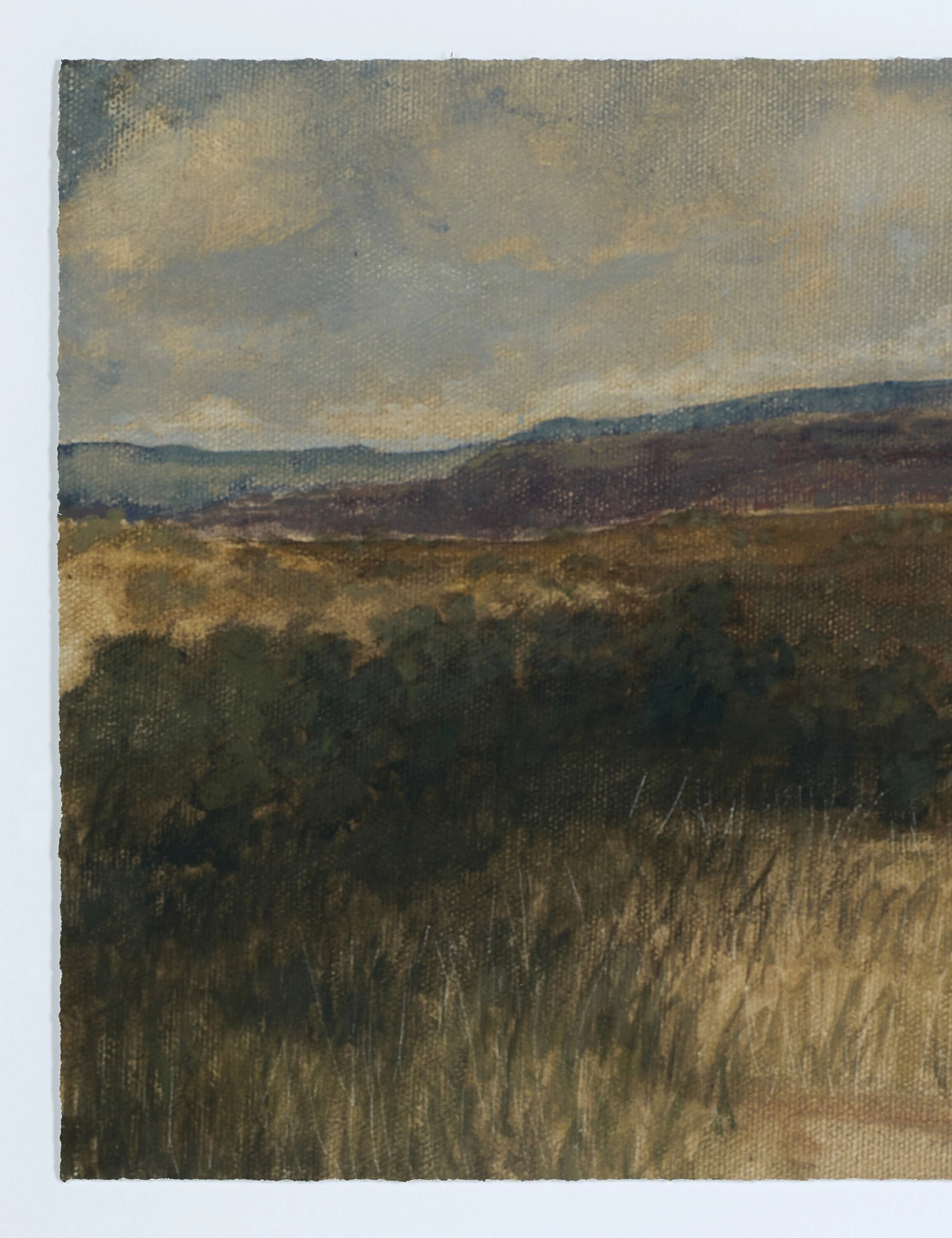 Desert Hues I by Aileen Fitzgerald