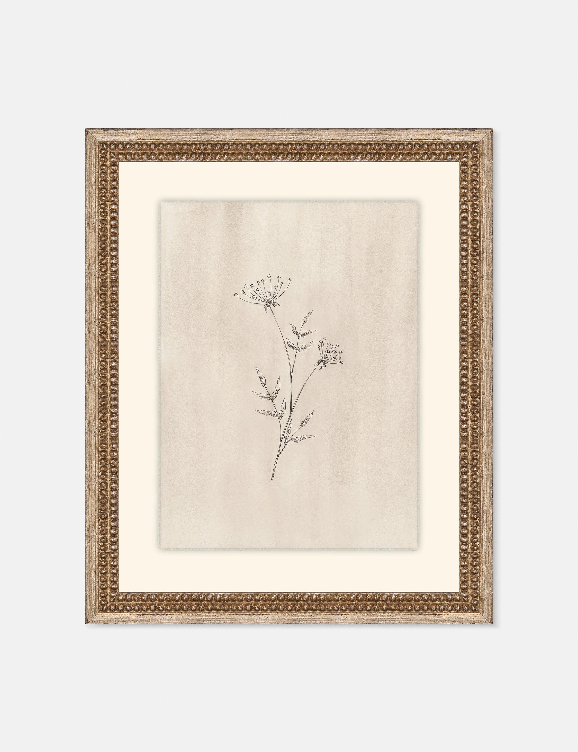 Elegant Botanical IV Wall Art by Makai Howell wall art,canvas print,home wall decor