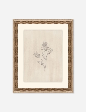Elegant Botanical V Wall Art by Makai Howell wall art,canvas print,home wall decor
