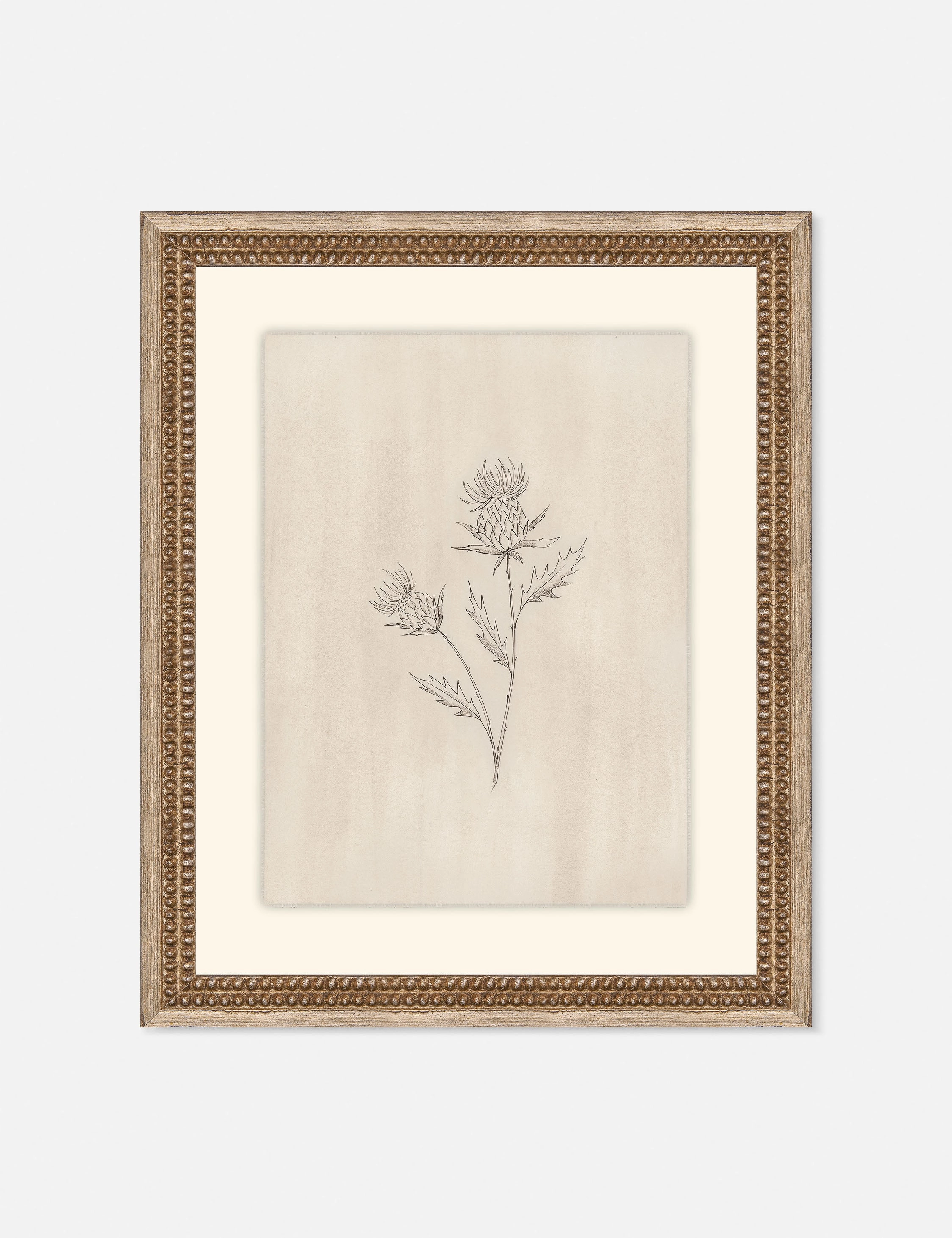 Elegant Botanical V Wall Art by Makai Howell wall art,canvas print,home wall decor