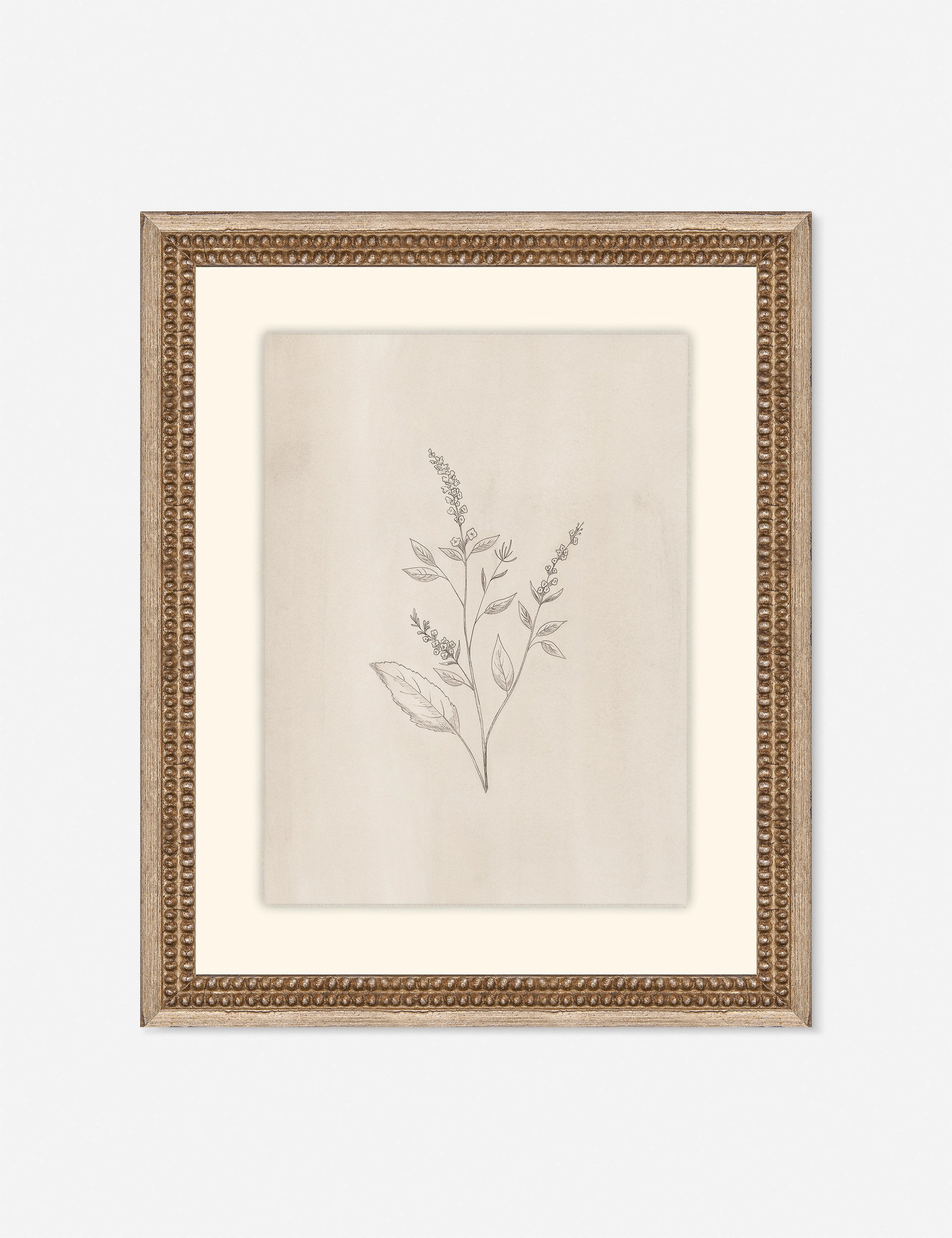 Elegant Botanical VI Wall Art by Makai Howell wall art,canvas print,home wall decor