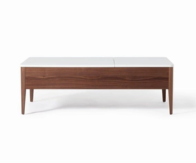 Enna Lift Top Storage Coffee Table sofa,couch,living room furniture