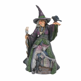 Evil Witch withGraveyard Fig figurines,decorative figurines,home accents