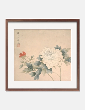 Flower Study 2 Print by Yun Bing wall art,canvas print,home wall decor