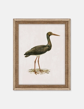 Heron Friend I Wall Art by Old World wall art,canvas print,home wall decor